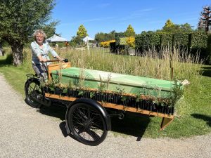 © Rouwbakfiets.nl, bloemenband.nl en mooieuitvaartkisten.nl